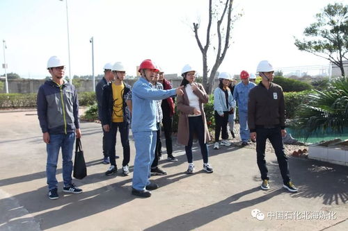 走綠色發(fā)展之路，樹環(huán)保標(biāo)桿企業(yè)——環(huán)境保護(hù)監(jiān)測的核心使命與實(shí)踐路徑